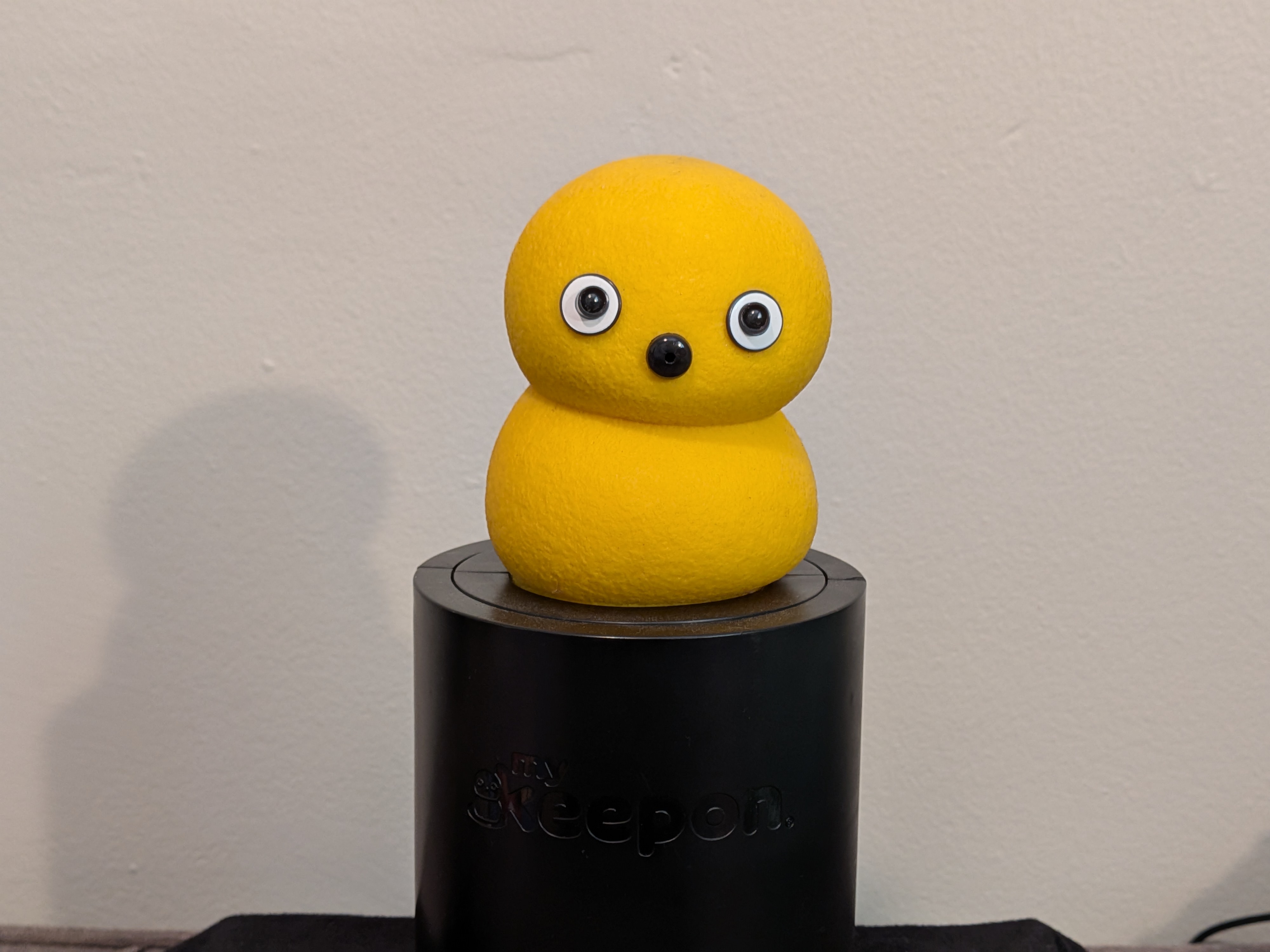 Head-on shot of the boy